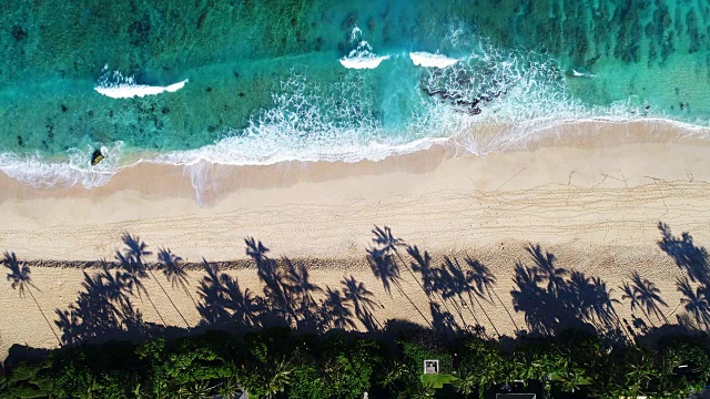 鳥瞰圖海浪撞擊白沙灘的局部海岸線在夏季海灘日與棕櫚樹的陰影