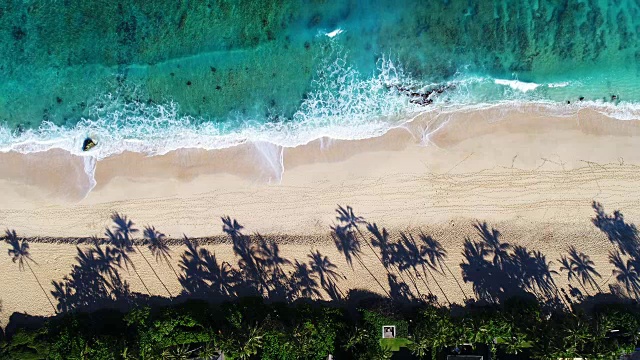 詳情圖-鳥(niǎo)瞰圖海浪撞擊白沙灘的局部海岸線在夏季海灘日與棕櫚樹(shù)的陰影