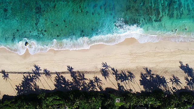 詳情圖-鳥(niǎo)瞰圖海浪撞擊白沙灘的局部海岸線在夏季海灘日與棕櫚樹(shù)的陰影