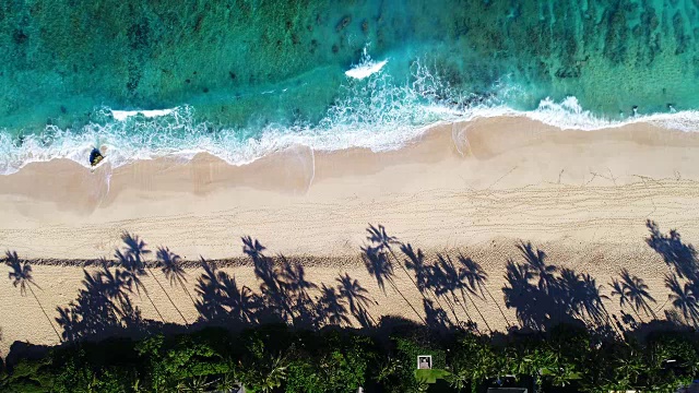 詳情圖-鳥(niǎo)瞰圖海浪撞擊白沙灘的局部海岸線在夏季海灘日與棕櫚樹(shù)的陰影