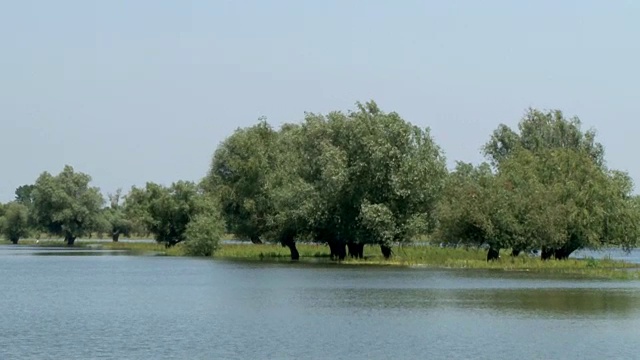 河