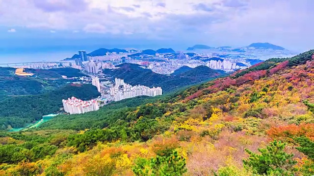 韩国釜山市的秋季城市景观