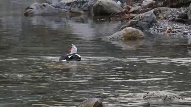 奥林匹斯山,希腊