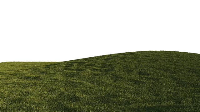 绿草背景纹理3d软件制作