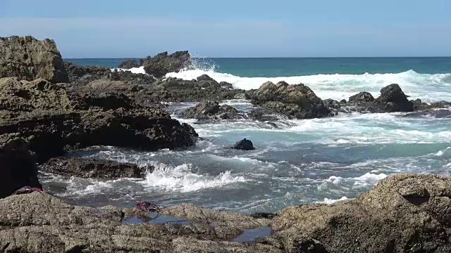 蟹，抑郁，克拉伯，悬崖，岩石，动物行为，fuerteventura, 4K