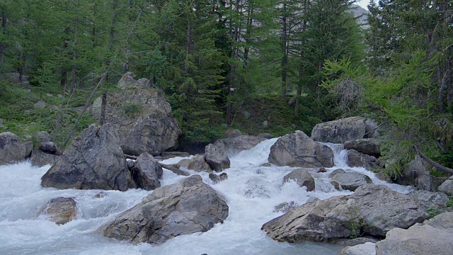 山河与森林。慢镜头中的自然风景