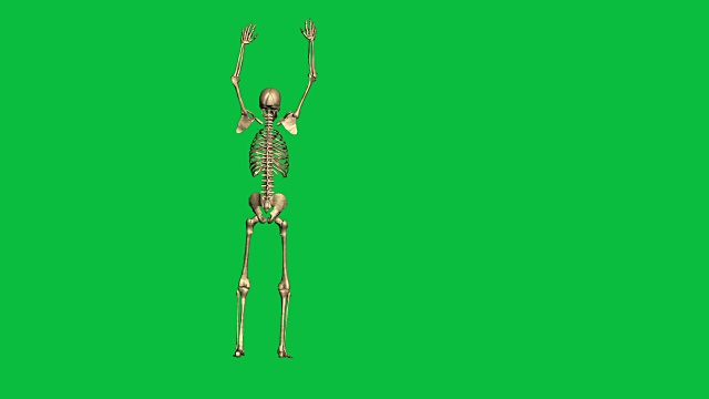 三维动画的骨架人质射击-分离在绿色屏幕