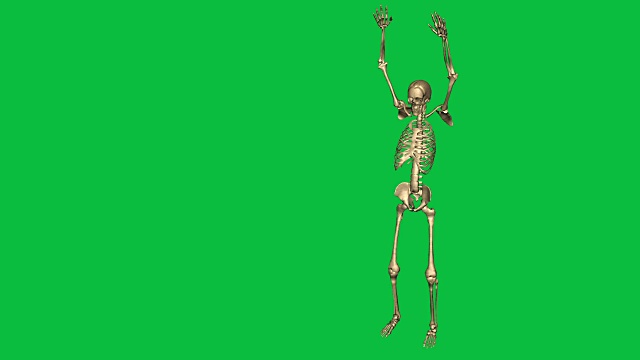 三维动画的骨架人质射击-分离在绿色屏幕