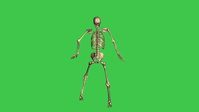 3d动画的骨架棒球铅分离在绿色屏幕