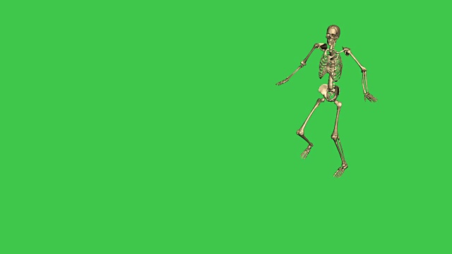 3d动画的骨架棒球铅分离在绿色屏幕