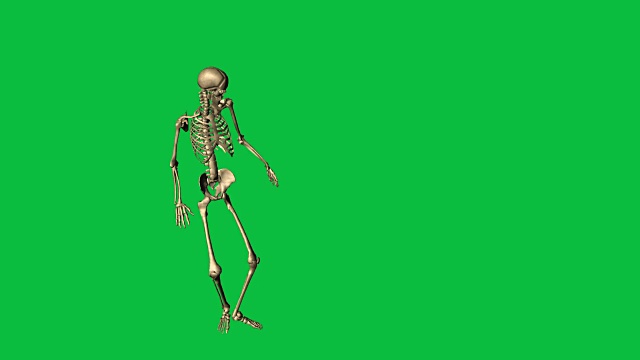 3d动画的骨骼事故下降-分离在绿色屏幕