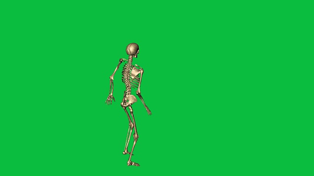 3d动画的骨骼跳跃水平-分离在绿色屏幕上