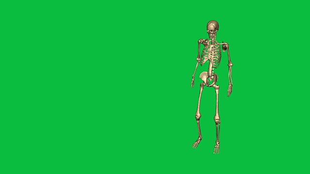 3d动画的骨骼给予命令和德国敬礼-分别在绿色屏幕