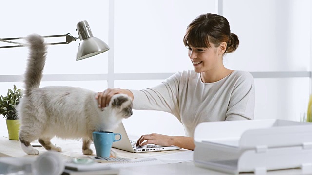 一个在家工作的女人，抱着她的猫