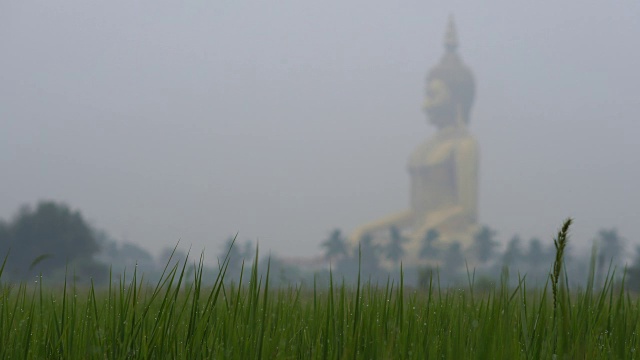 早上聚焦在最大的佛像在芒寺，昂通，泰国