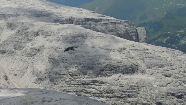 乌鸦飞过高山