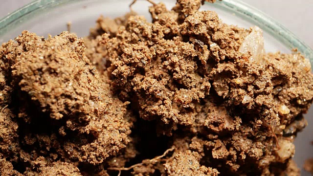 土壤矿物分析