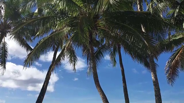 拉罗汤加库克群岛