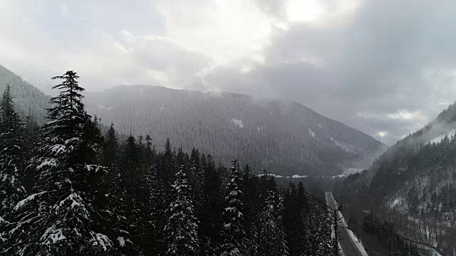 乡村山路上的雪灾树梢景观