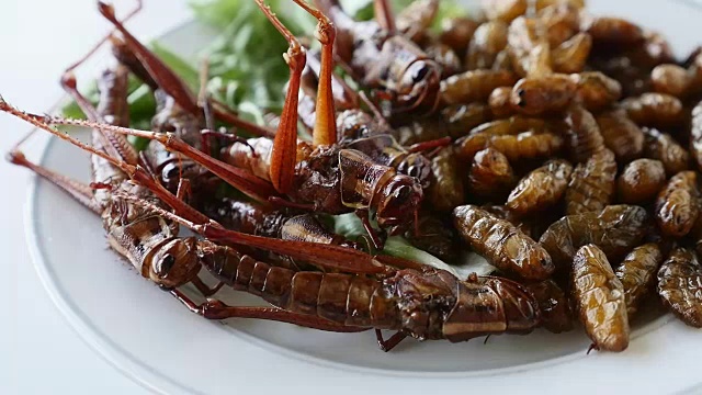 近距离观察盘内的油炸昆虫。富含蛋白质食物