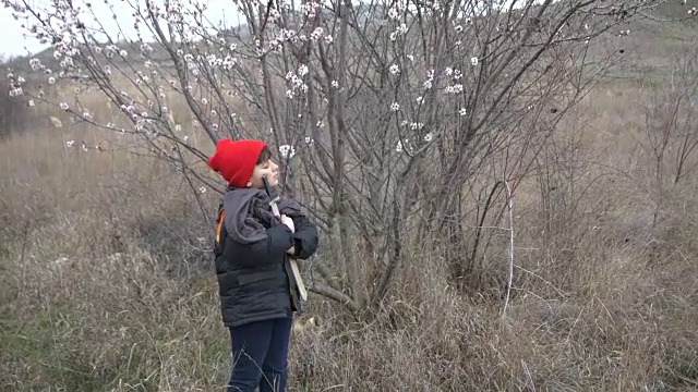 男孩在一棵开花的树下的木剑