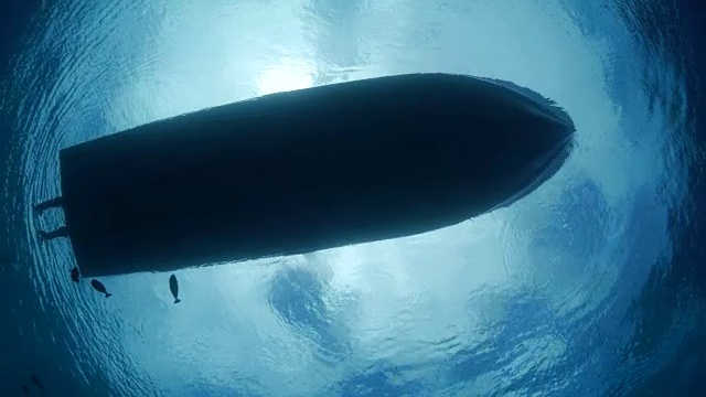 海面上的快艇