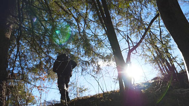 后视图的不可辨认的徒步旅行者走在山坡上的山森林。一个年轻人在阳光明媚的日子爬山。背景是阳光。旅行或旅行的概念。慢动作低角度视图