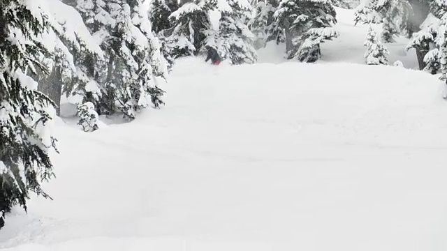 滑雪滑下滑雪坡骑板穿红裤子黑夹克飞粉末雪花向相机-冬季运动