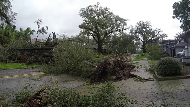 飓风“厄玛”破坏了佛罗里达州奥兰多市历史悠久的Eola湖高地