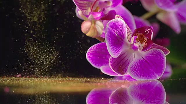 紫色兰花配金色亮片