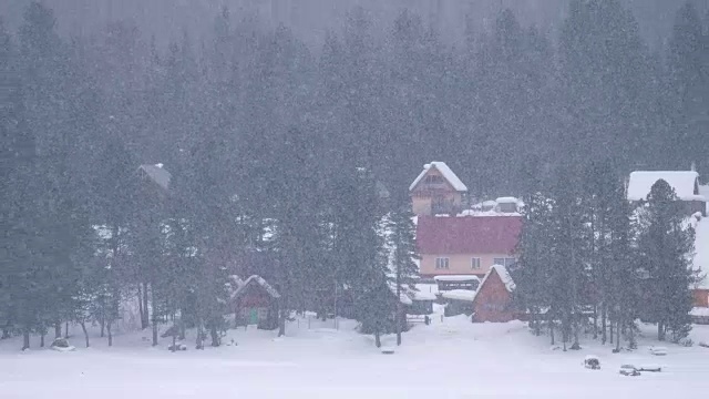 特勒茨科湖岸边，杉树林中的房屋被厚厚的积雪覆盖着