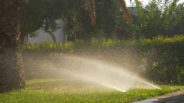 自动洒水器给草坪浇水