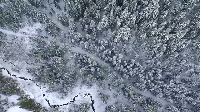 空中俯瞰冬季概念。风景中有冬天的树木，结冰的河流和积雪的小路