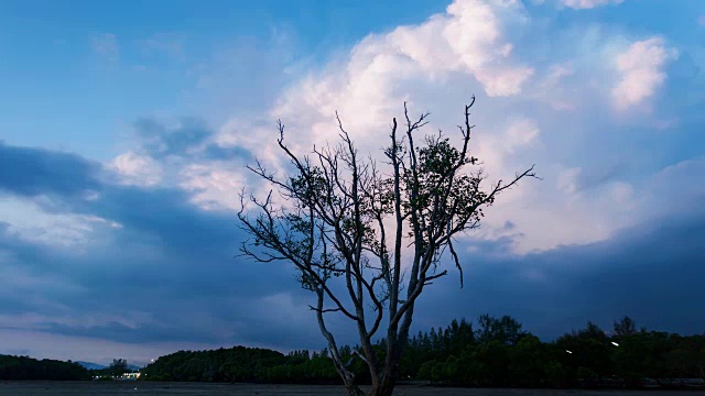 天空和云与死树移动在前景日出或日落傍晚时间