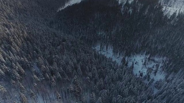 冬雪松林日出无人机在山上飞行