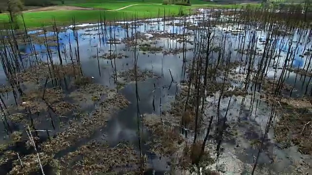 乡村草地上枯树池塘的空中摄影