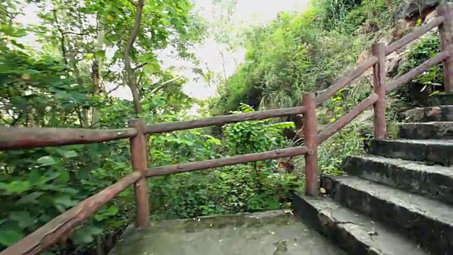 热带雨林公园-游客巷，斯坦尼康
