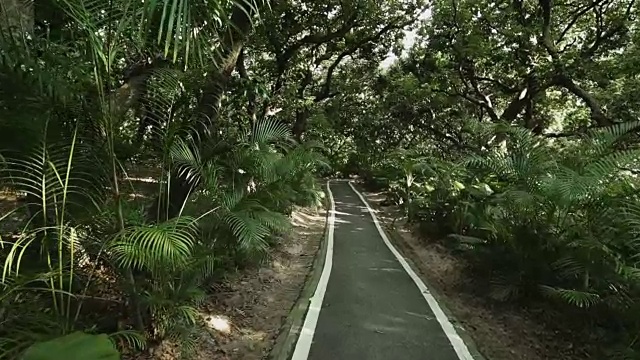 热带雨林公园-自行车道。没有人，斯坦尼康镜头