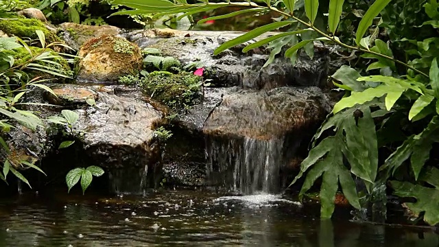 池塘和瀑布在花园里，泰国清迈