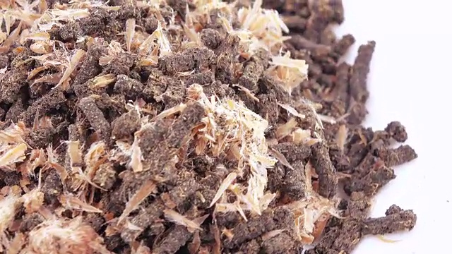 伊万茶与松果