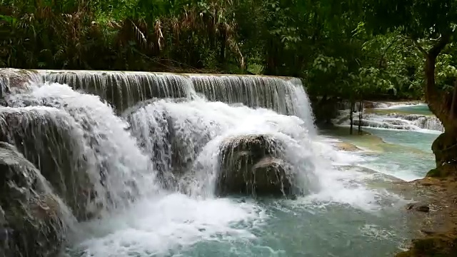 丛林景观与瀑布溪流