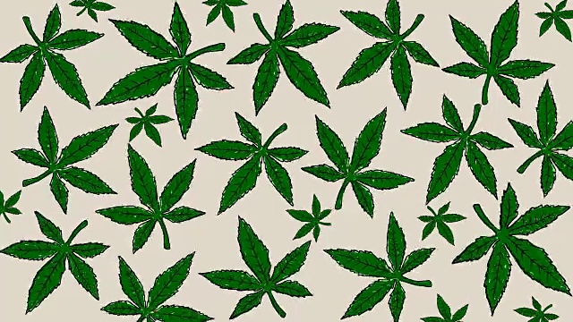手绘大麻叶子的动画。医用大麻的背景