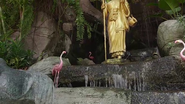 金色的佛像