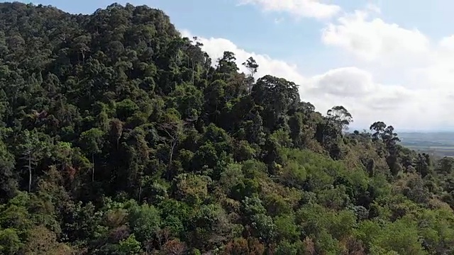 开放世界自然风景360度观