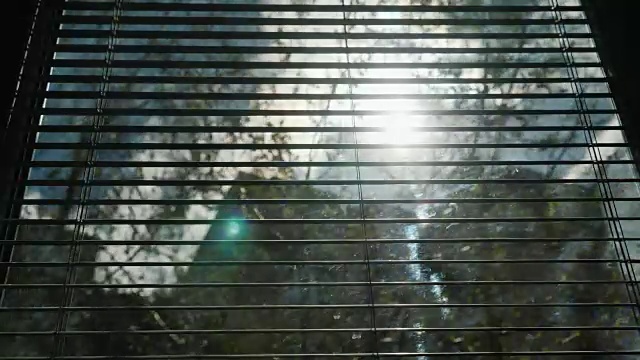 从一幢公寓的窗户看到的景色。阳光透过百叶窗，可以看到其他的房子和树木