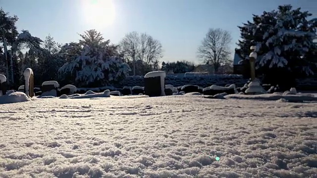 冬日阳光下白雪覆盖的墓地