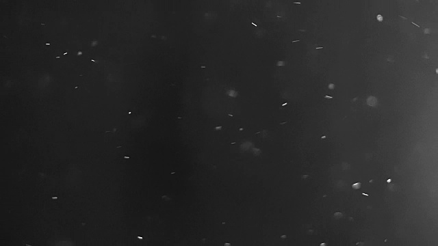 空气中的尘埃颗粒