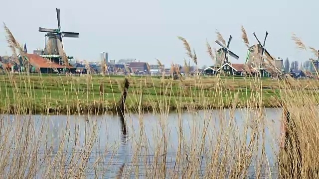 Zaanse Schans的风车