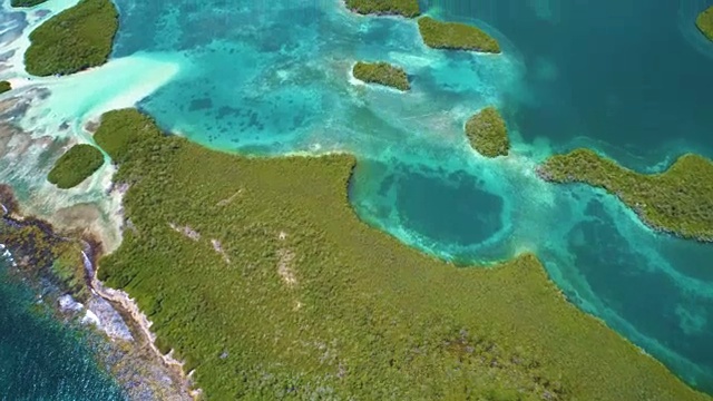 鸟瞰图红树林之间的珊瑚礁和浅蓝的水域在加勒比海。