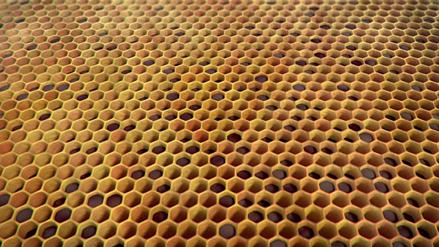 空的蜂巢，循环动画